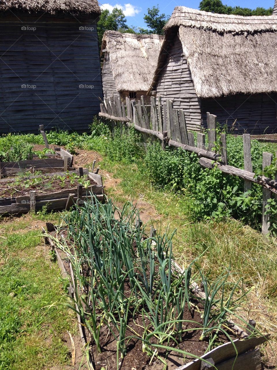 Pilgrim garden 