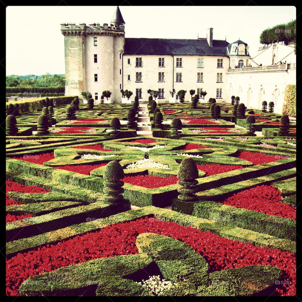 Gardens of Loire Valley