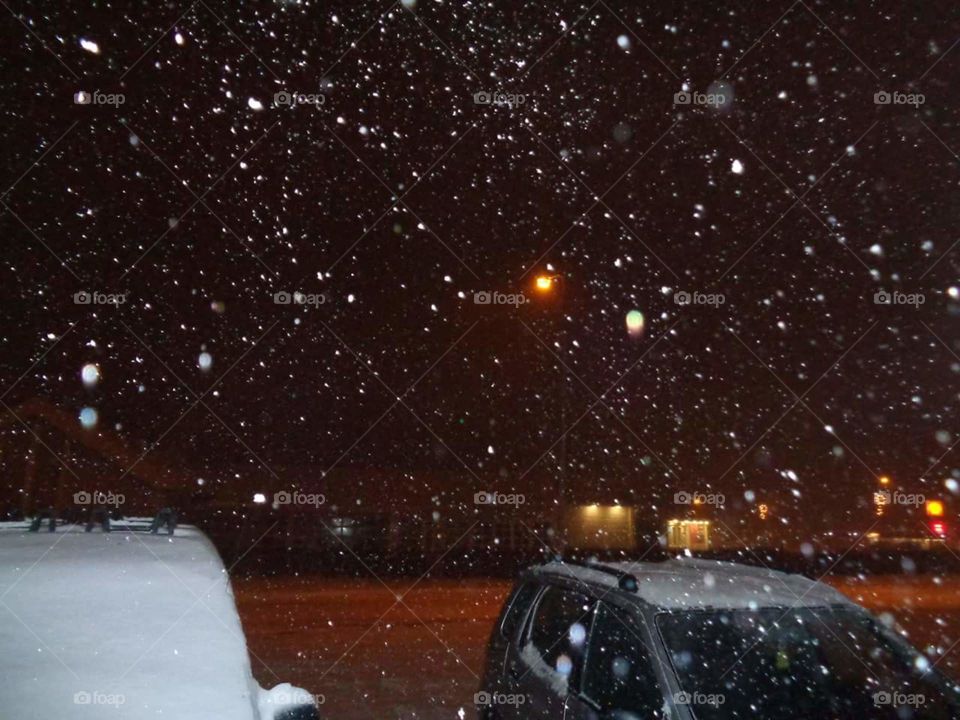 snowing in Iceland 2014.
