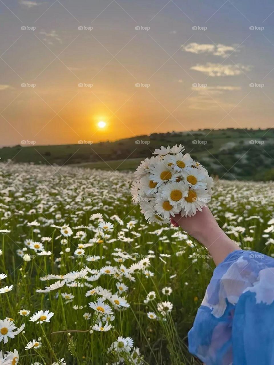 Summer is not fun without hiking, walking among the flowers, lying beneath the sun or watching the sunrise and sunset among the flowers. And I spent a whole day in this beautiful field