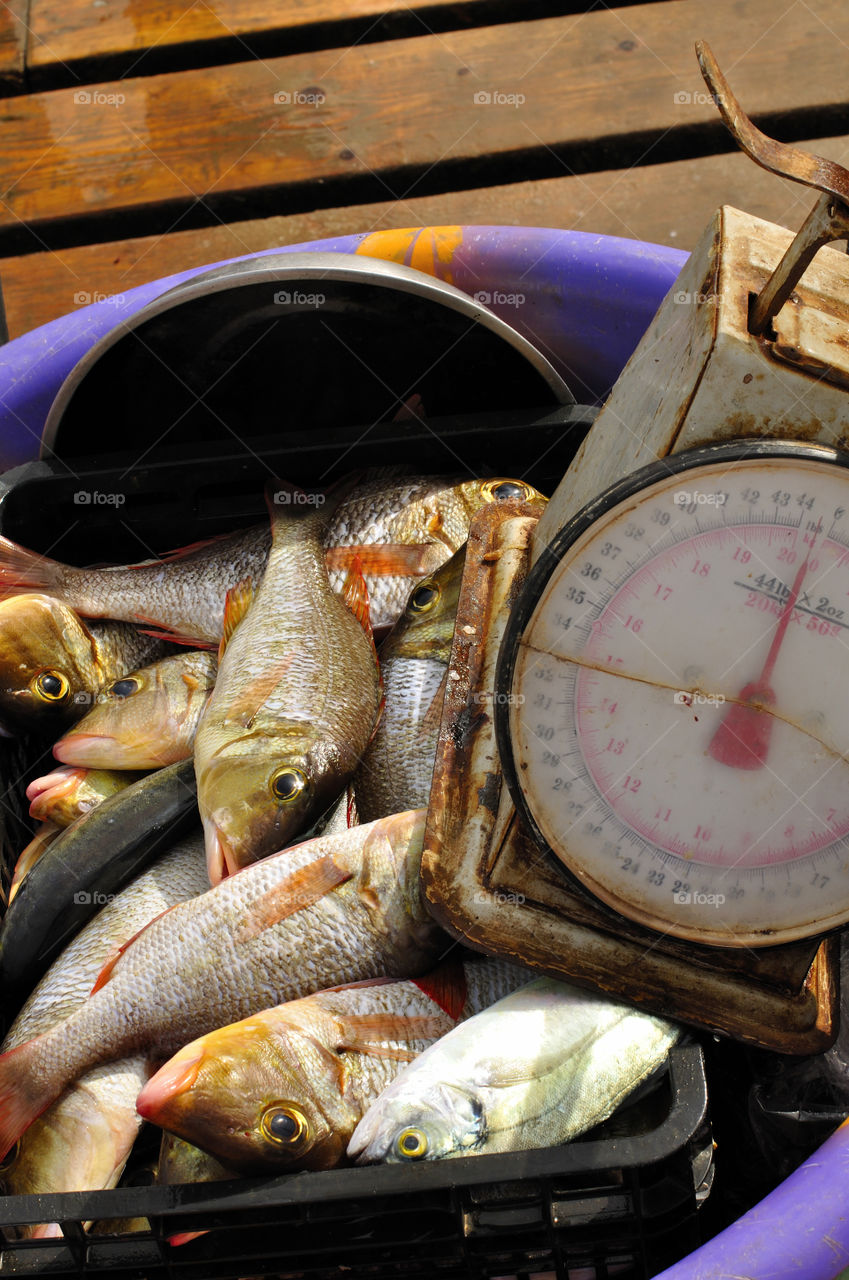 Fishing in Cape Verde