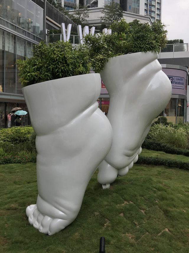 Feet