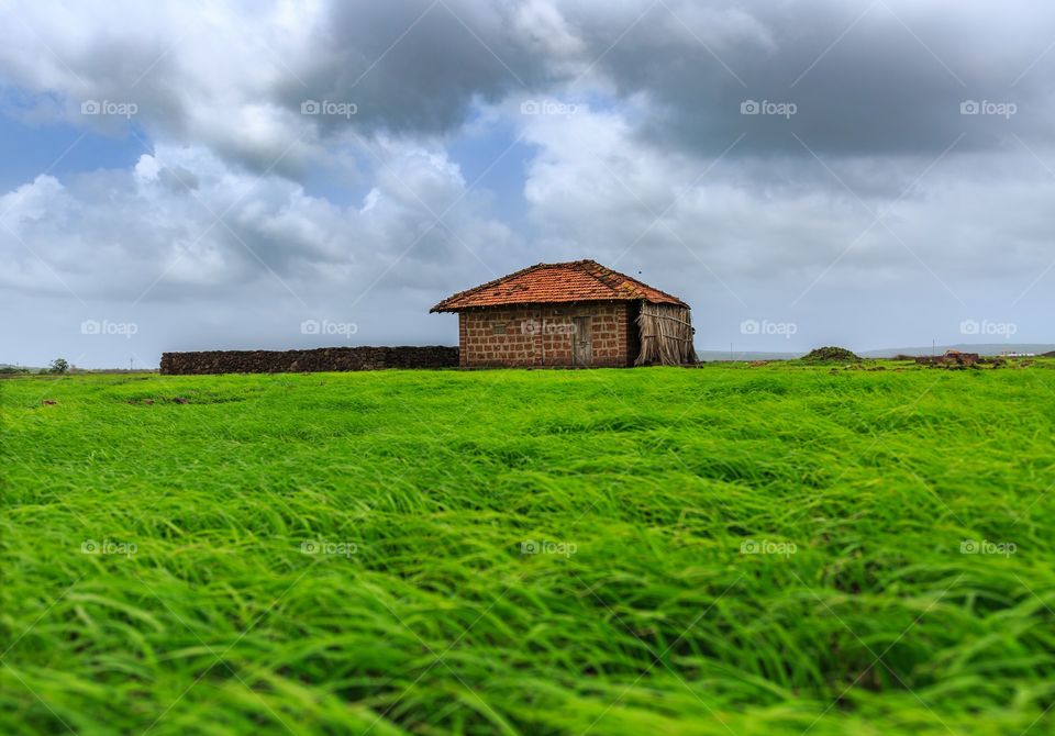 farming land of devgad, Maharashtra, India