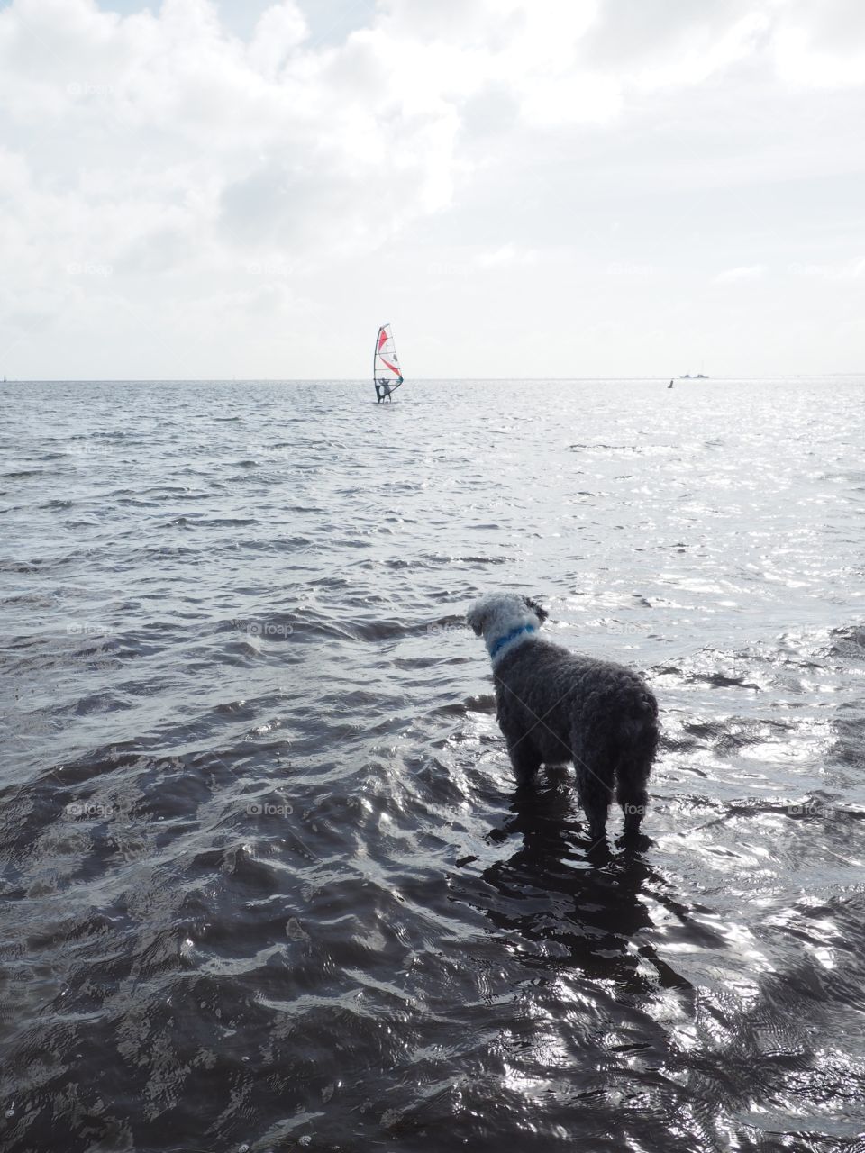 Looking out to sea 