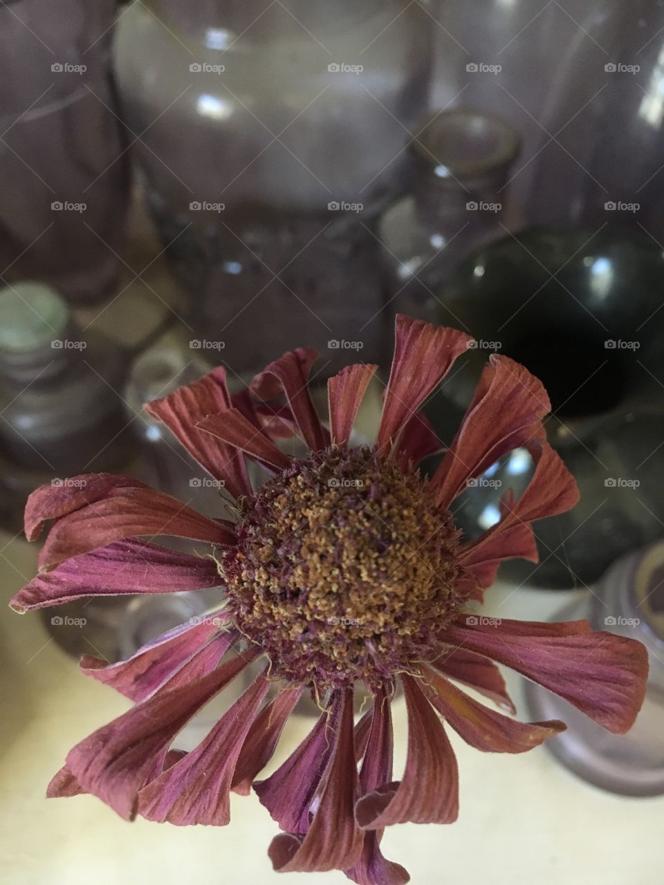 Flower with antique bottles 