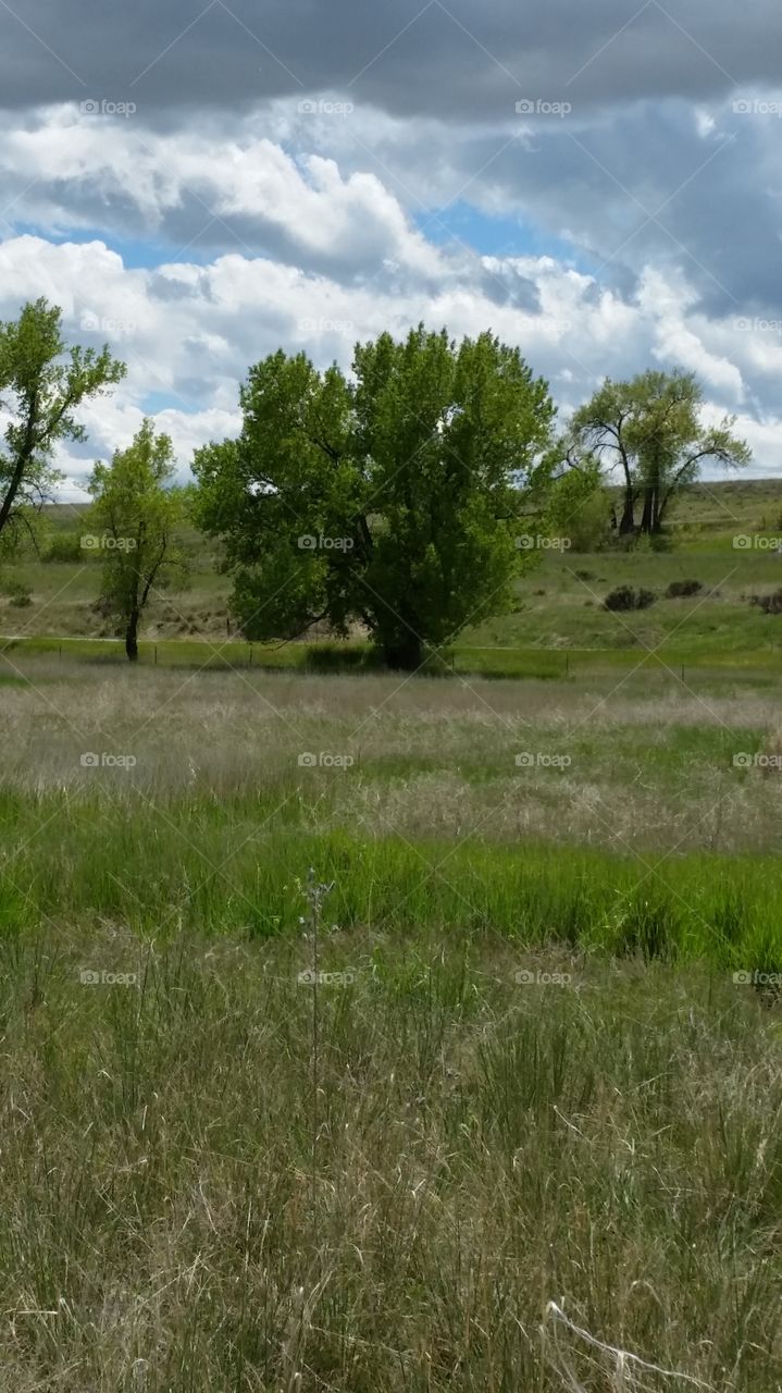 Land on the plains in Colorado