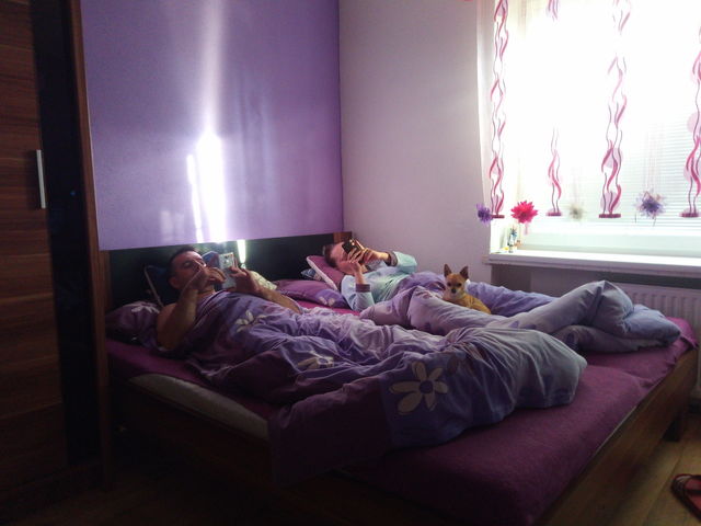 happy easy relax