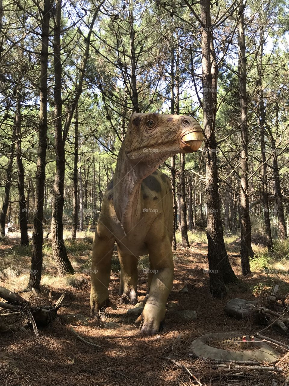 Dino parque Lourinhã 