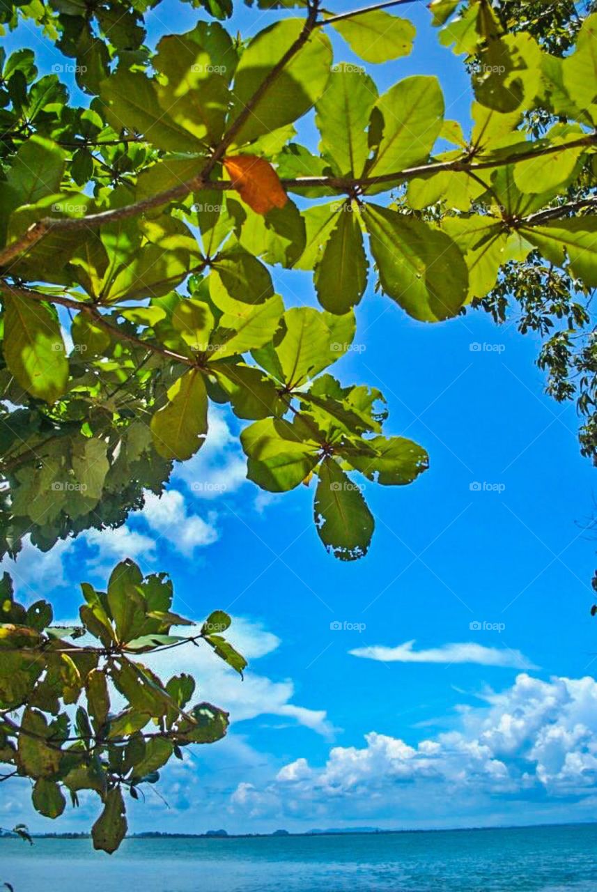 Green and blue - Krabi,Thailand