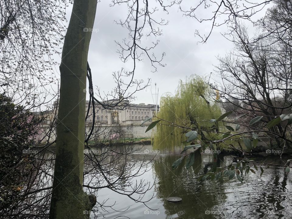 A far away picture taken of Buckingham Palace through the trees in the St. James Park just outside the palace gates. 