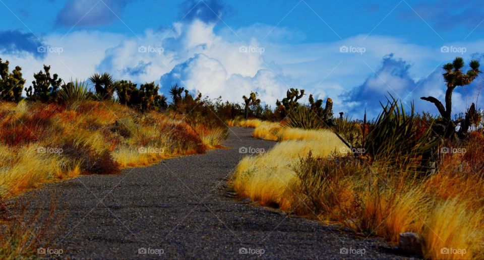 Road to Heaven
