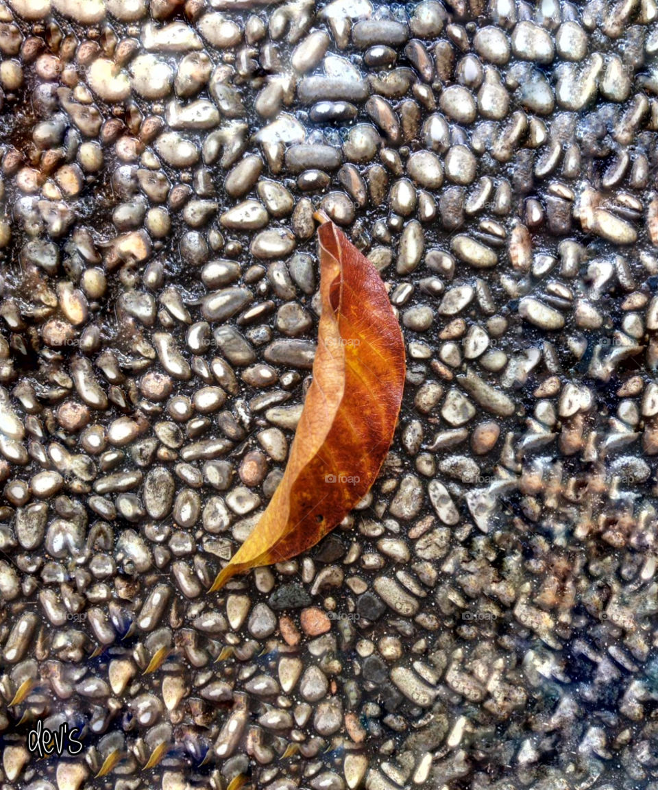 Life cycle in the world some come and go, some are born and die