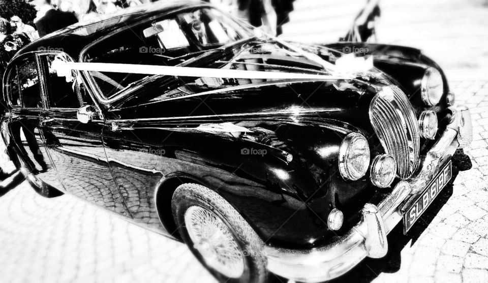 jag. on my travels