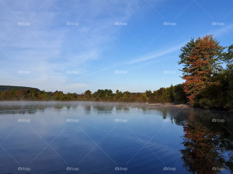 High angle view of nature