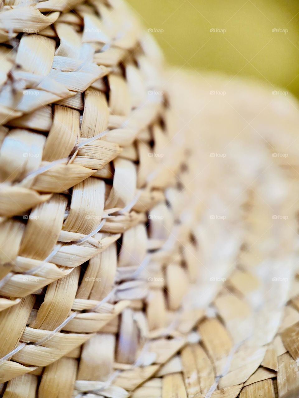 Close up shot of a native hat ready for summer fun in the garden 🪴