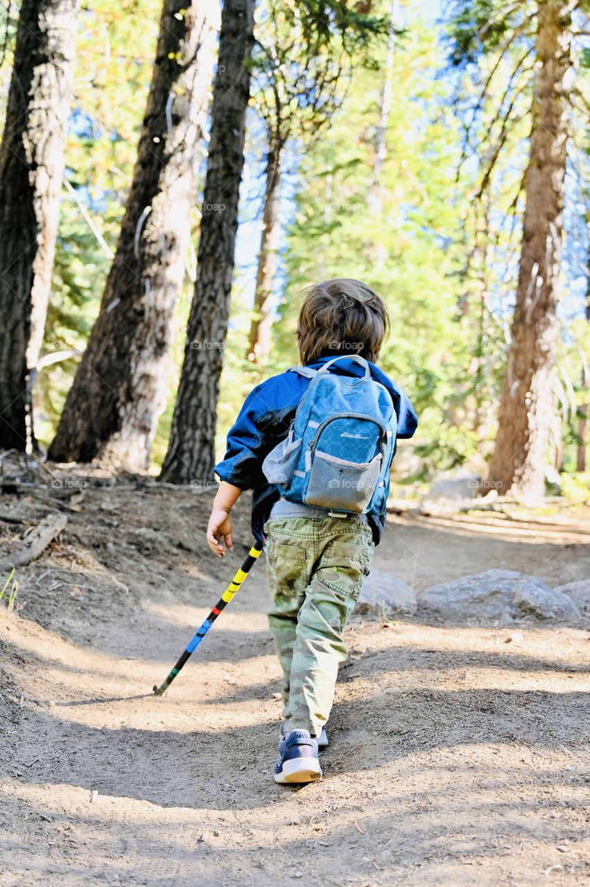 A day hike of the toddler going to the camp lake of immigrant wilderness in California 