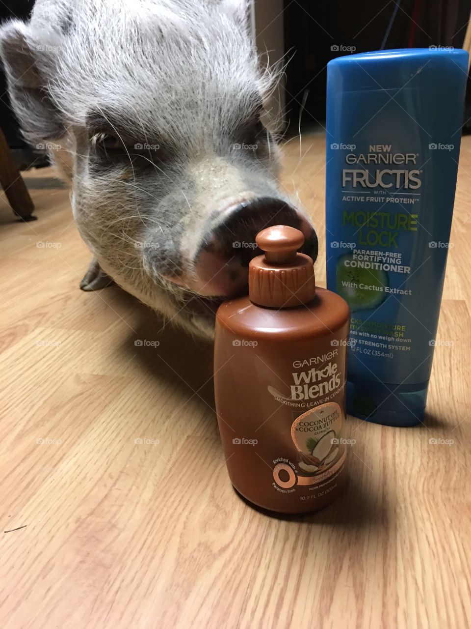 Pig Loves Garnier