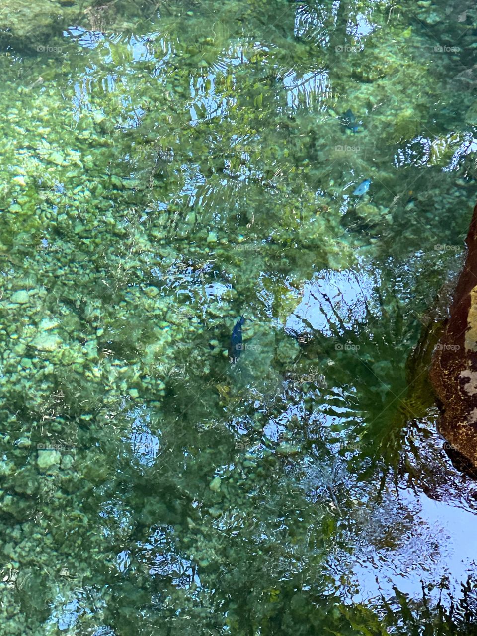 A mirror on the ground 