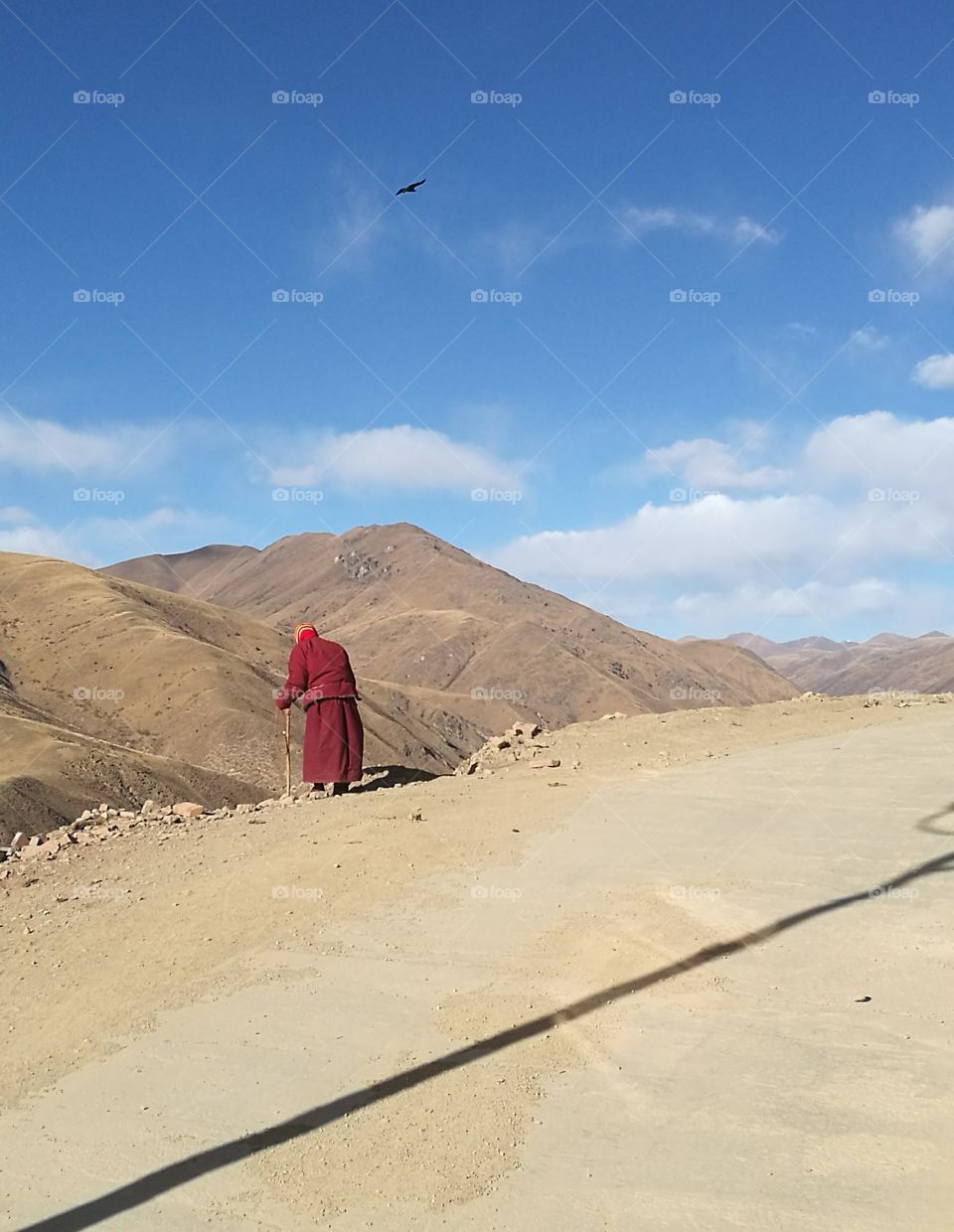 Nun staring into the Valley at Se Da Buddhist Monastery and School in Sichuan Province, China.

Se Da is currently the largest Tibetan Buddhist school in the world and not open to westerners.