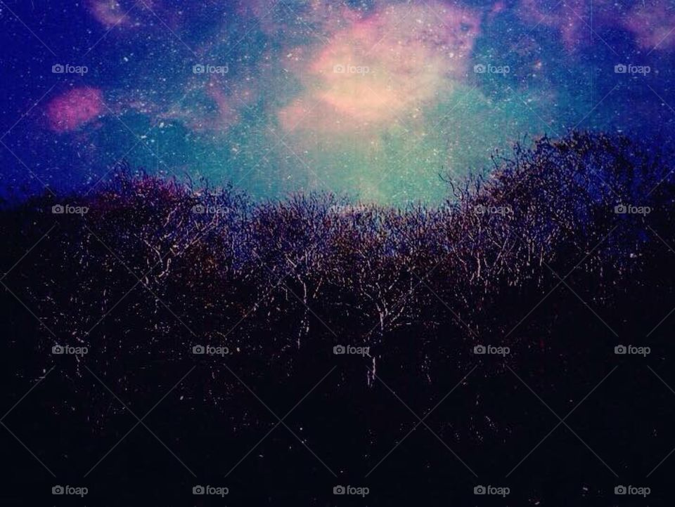 Galaxy in the sky of night
(Create on my own pics) 