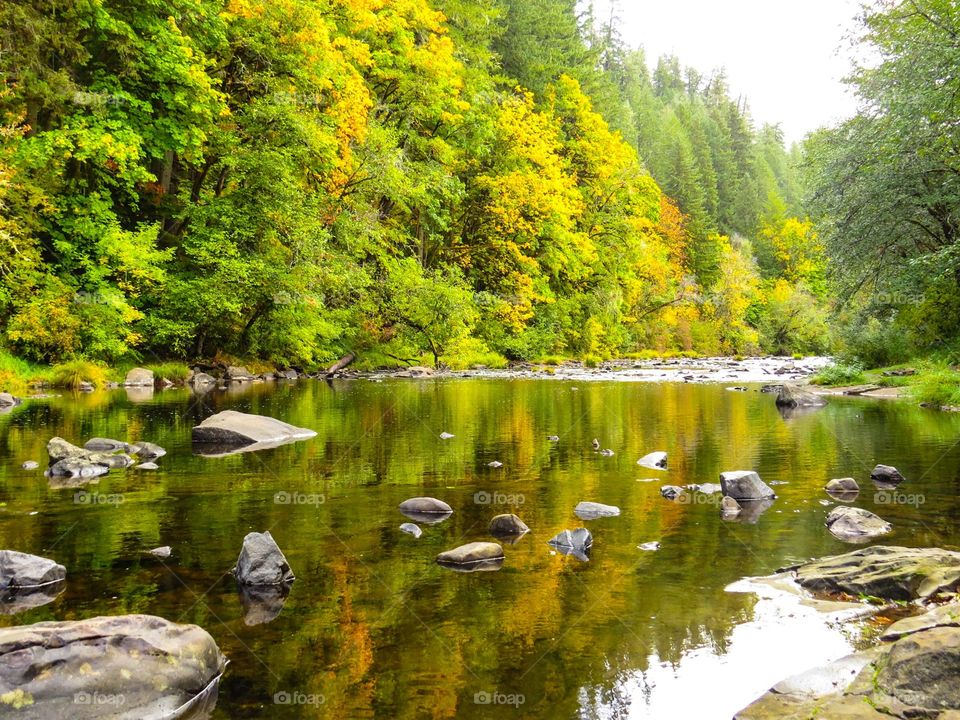 River Bliss