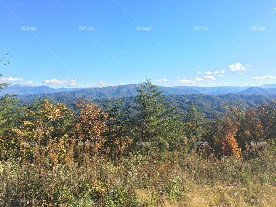 Fall in Sevierville, TN