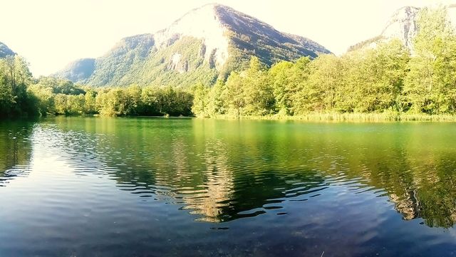balme
