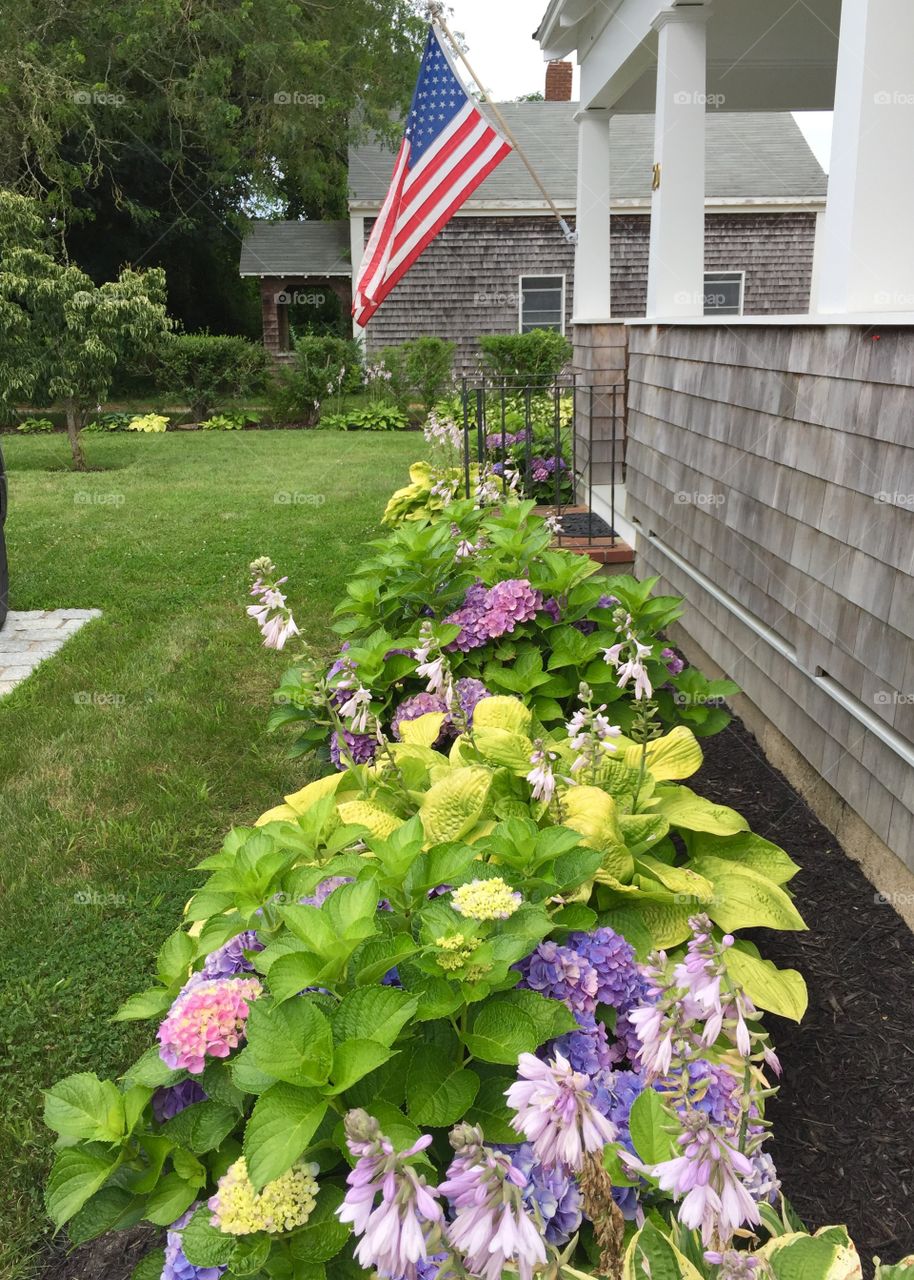 Martha's Vineyard Garden 