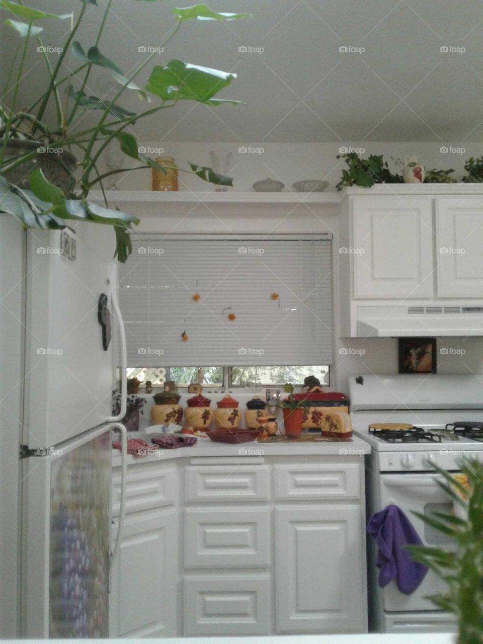 some kitchen scenery