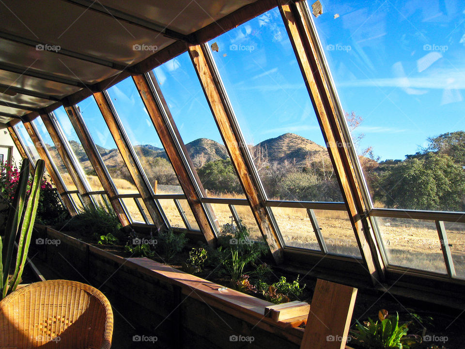 Arizona greenhouse 