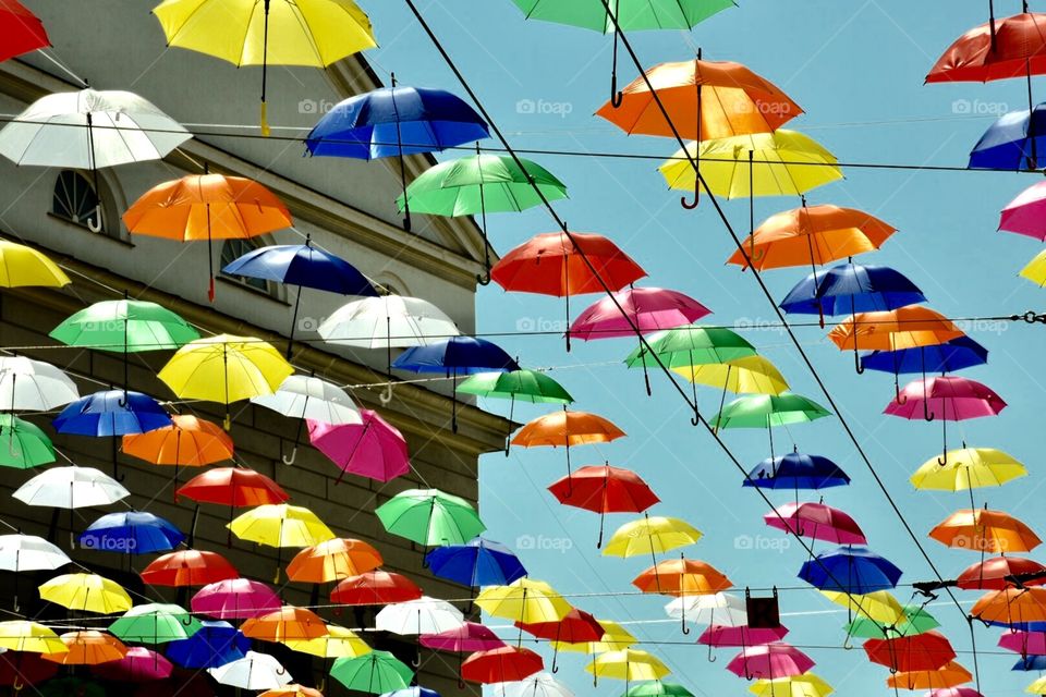 Umbrellas in Genoa 