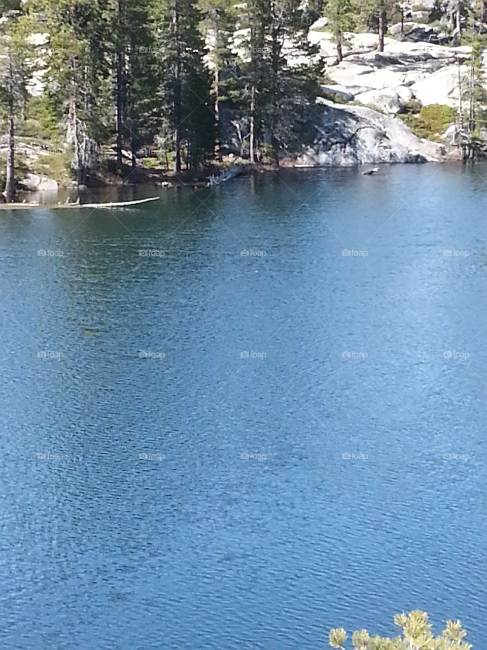 Water, Tree, Nature, No Person, Lake