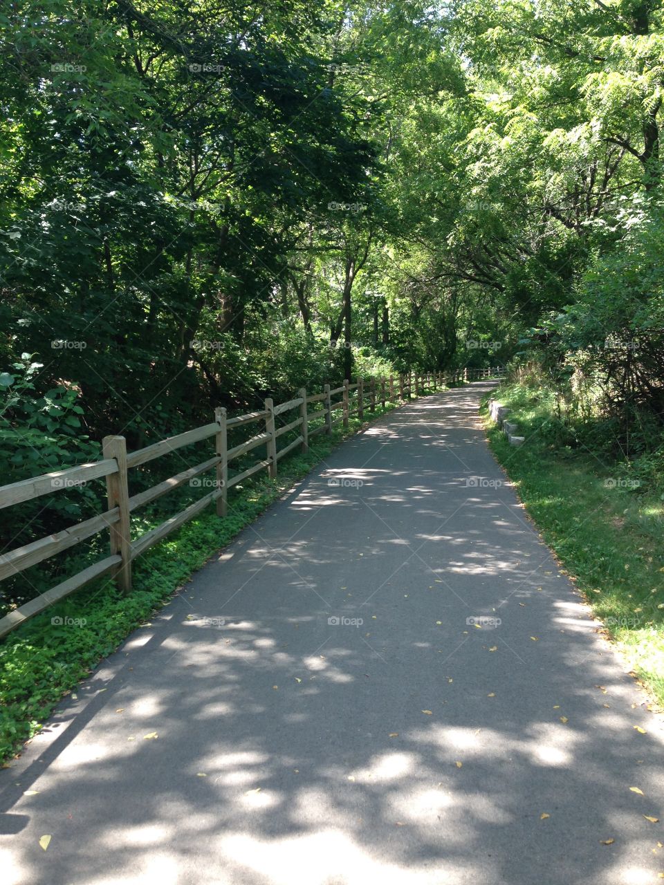 Fence path