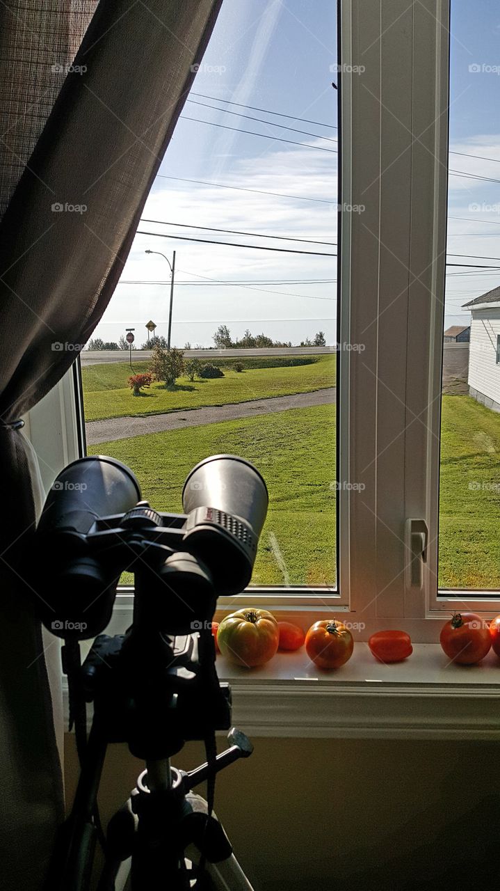 binoculars pointed at ocean