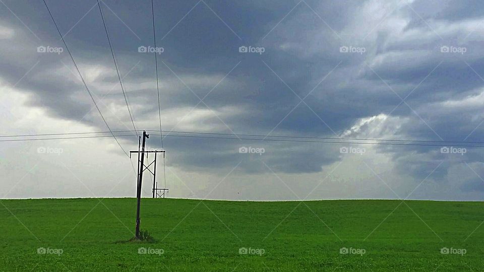 Telephone Poles in the Field during a Sunny Rainstorm