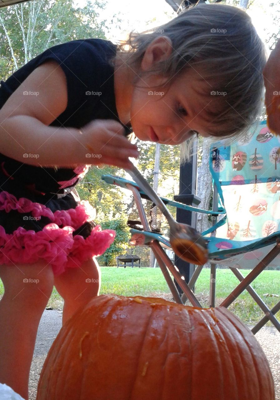 pumpkin scooper