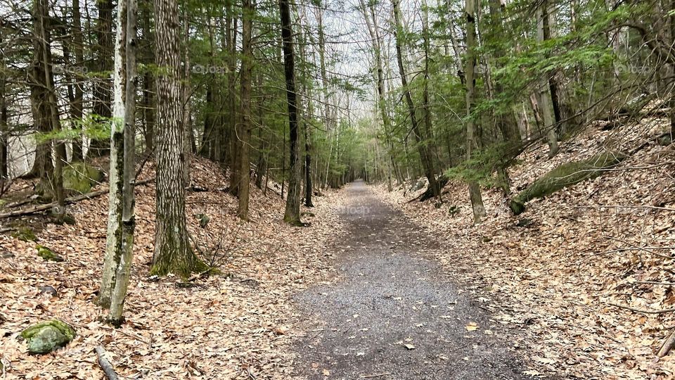 The Rail Trail Through the Mountains 