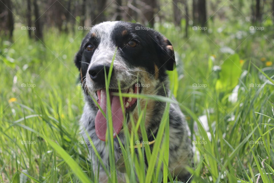 Nothing like some cool grass on a hot day 