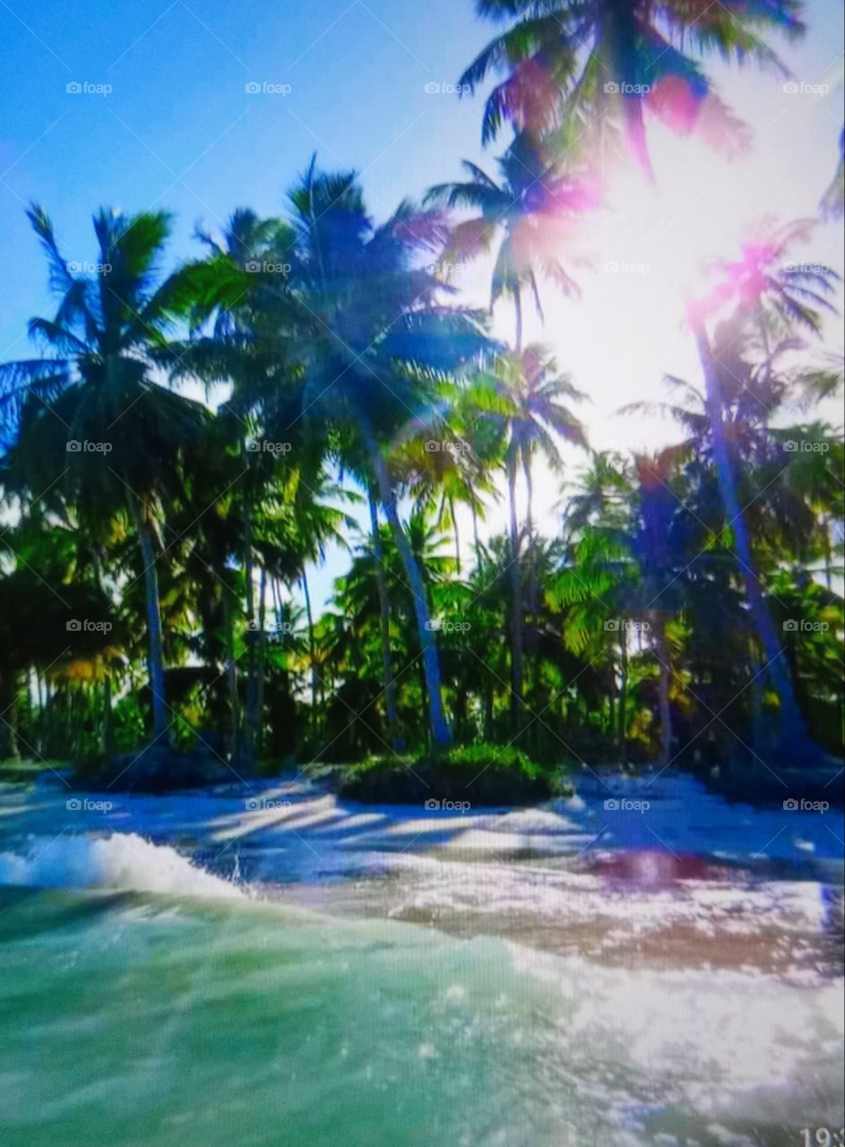 Praias do Nordeste Brasileiro