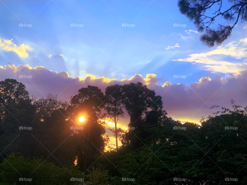 Glowing sunset sending sun rays through the forest and into a multicolored cloudscape.