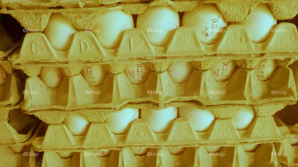 egg