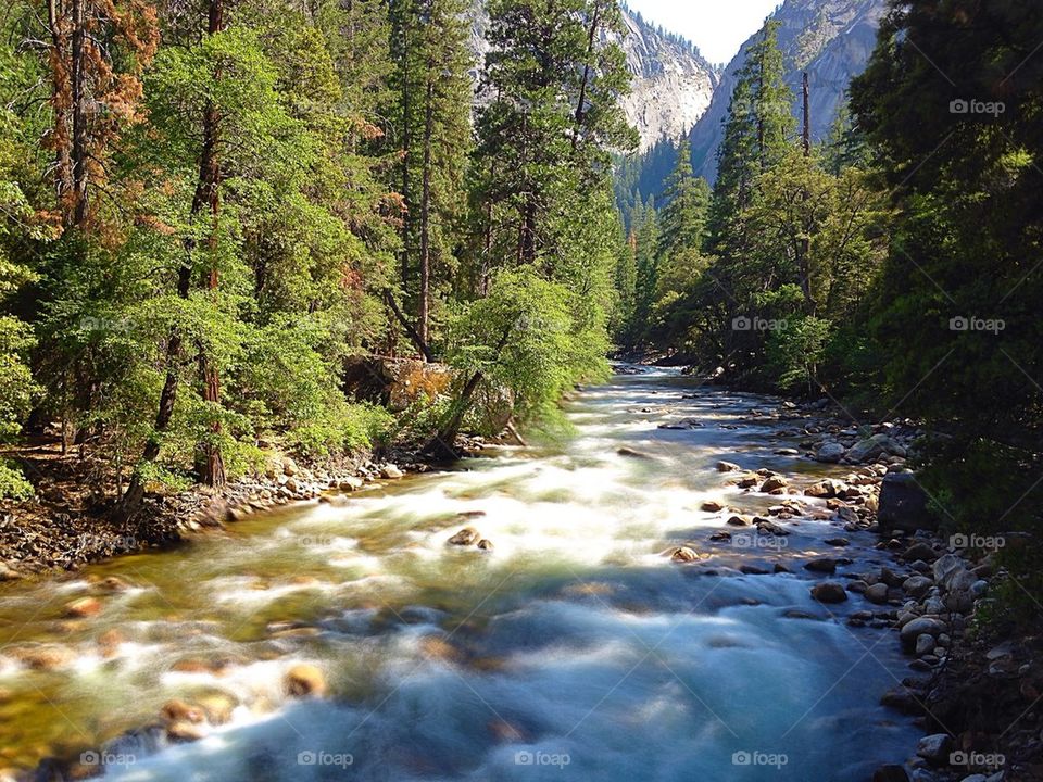 Flowing water in the park