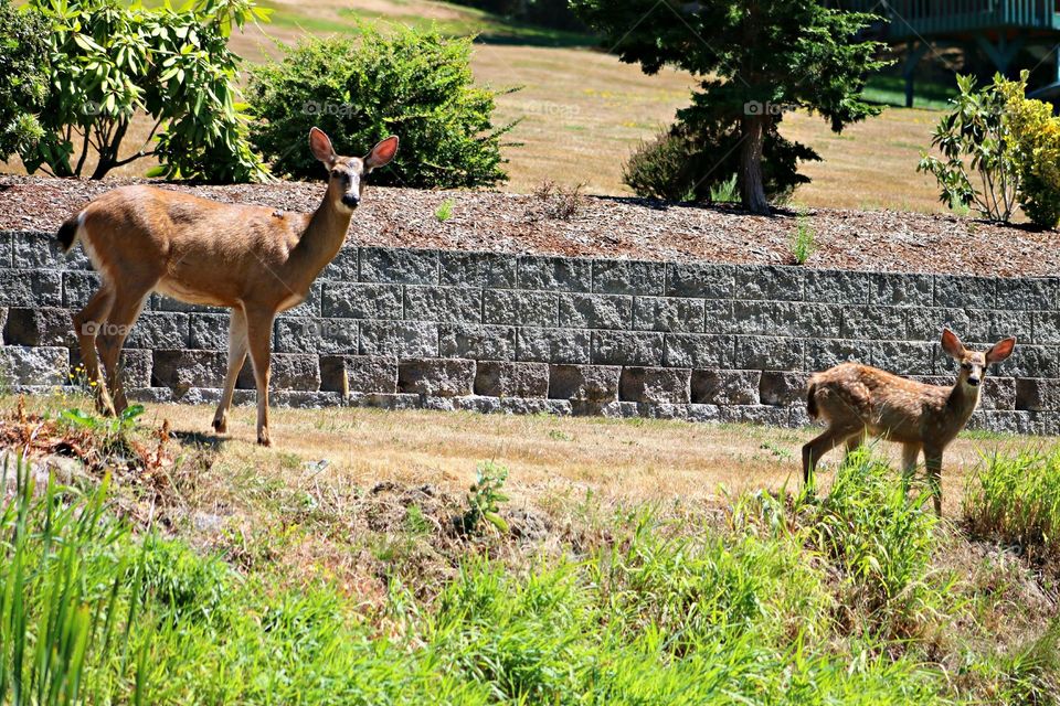 Mom And Baby. so sweet