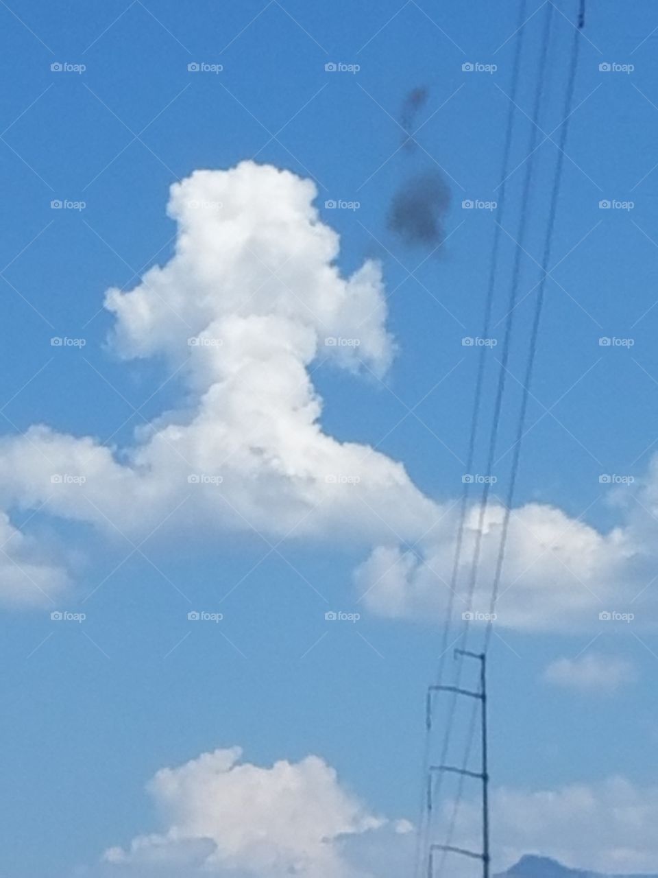 Poodle In The Clouds