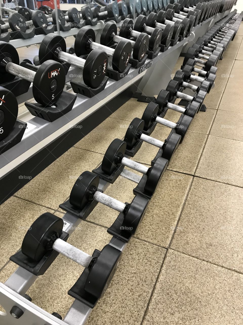 Dumbbells 