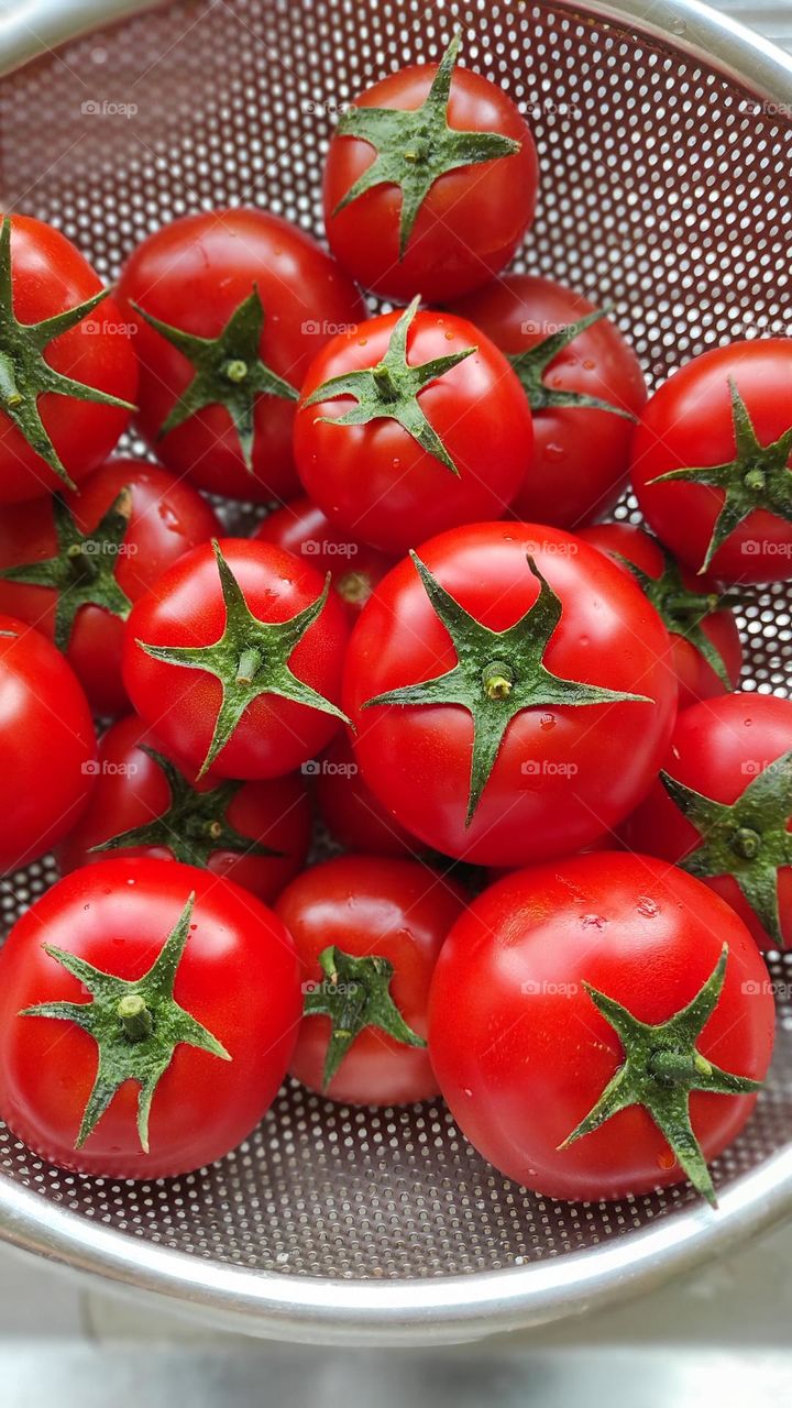 Fresh tomatoes 🍅