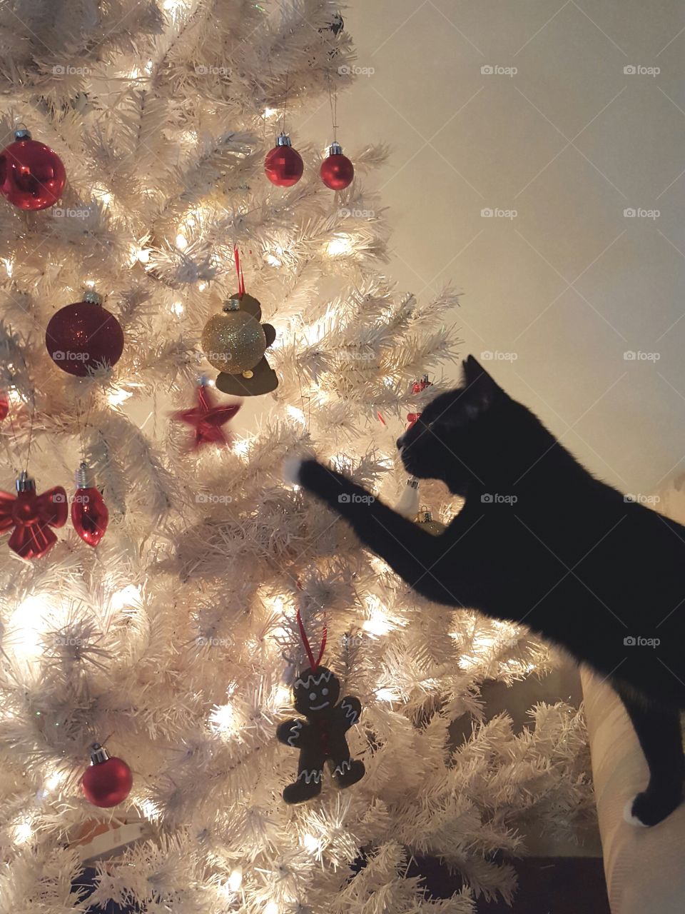Cat Playing on Christmas Tree