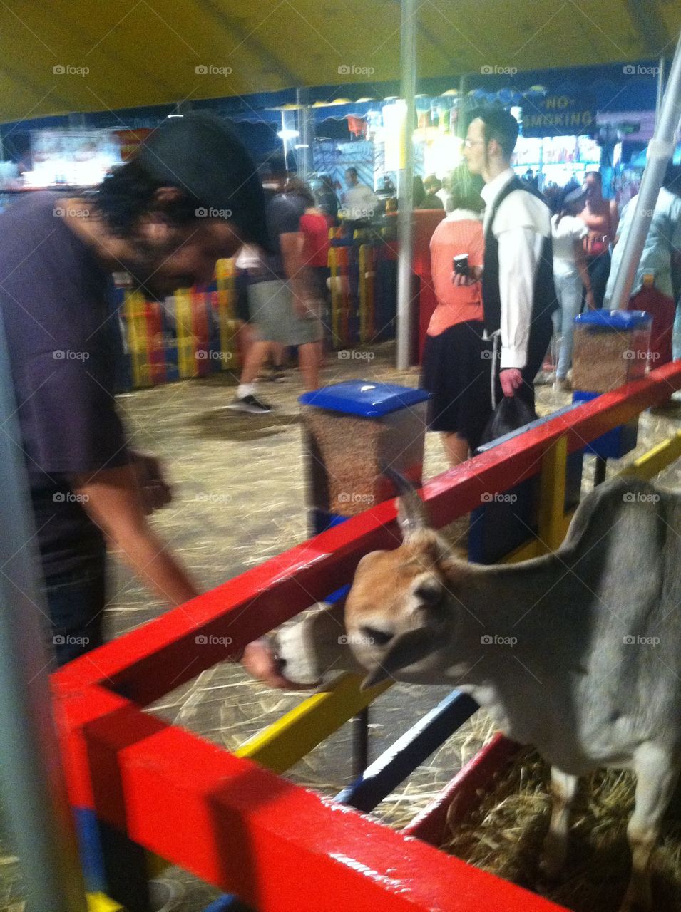 Meadowlands jersey fair 