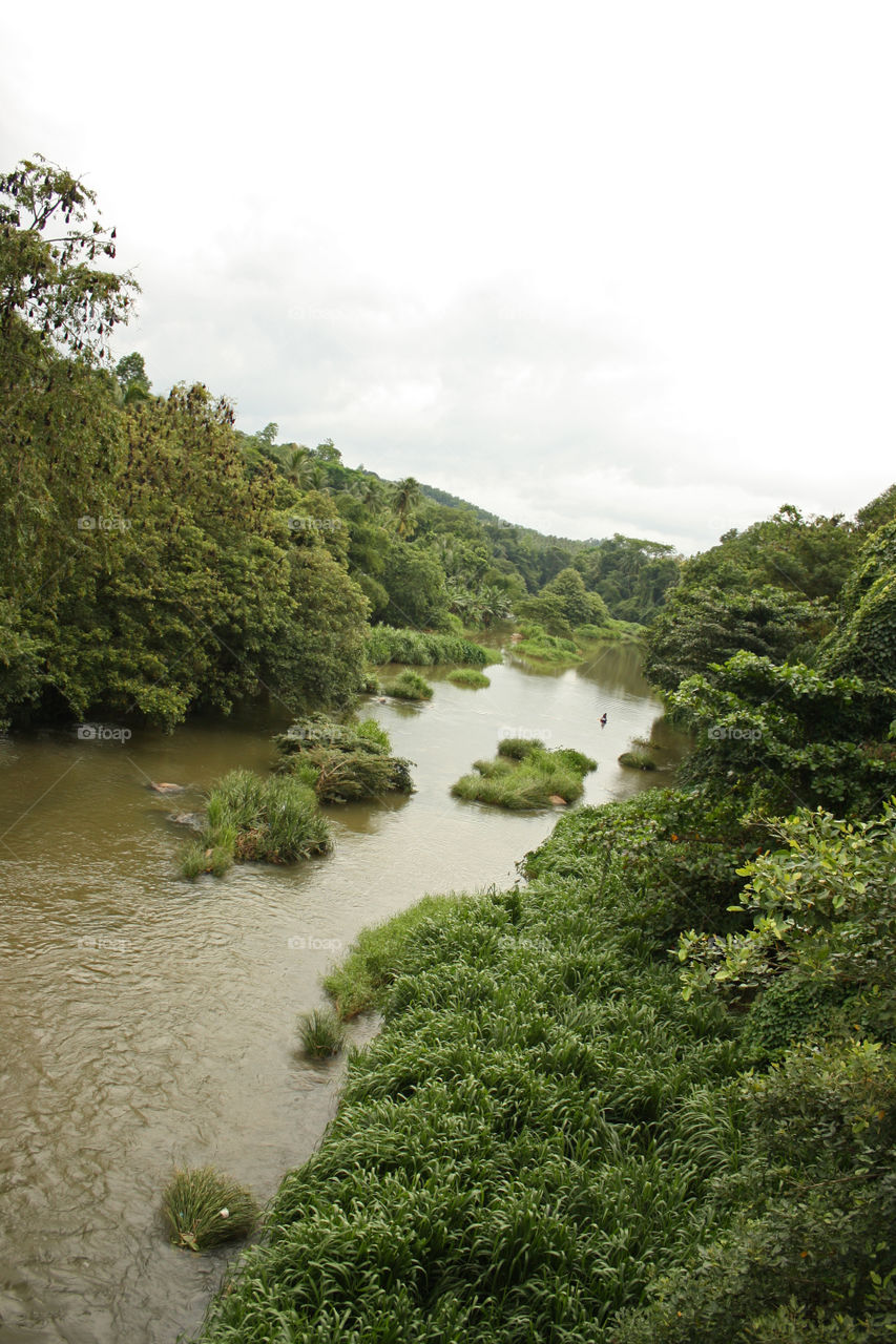Lush Sri Lankan River. July 2010.