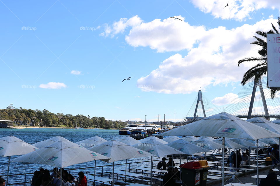 Side of the fish market  